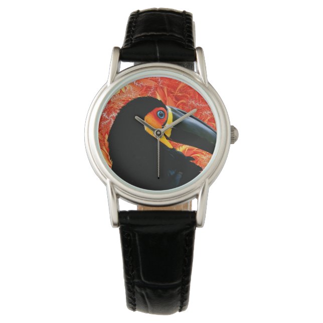 Toucan 3 Watch & Numeral Options Horloge (Voorkant)