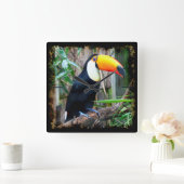 Toucan 5A Wandklokken & Numeral Opties (Huis)