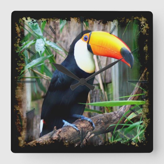 Toucan 5A Wandklokken & Numeral Opties (Voorkant)