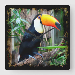 Toucan 5A Wandklokken & Numeral Opties