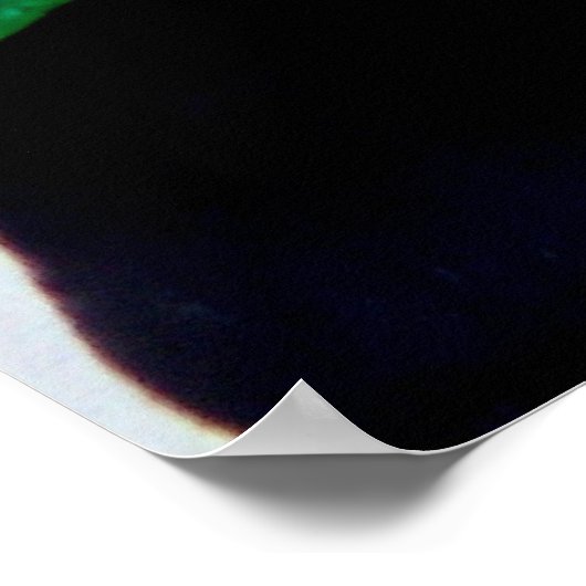 Toucan Amazon Oerwoud Exotic Wildlife Bird Poster (Hoek)