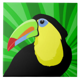 Toucan Art Tegeltje