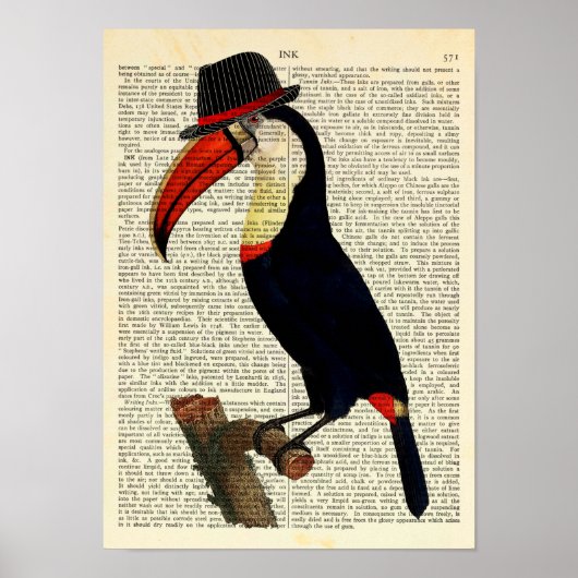 Toucan Beearing a Pet, Trilby, de Illustratie van  Poster (Voorkant)