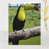 TOUCAN BIRD BIRTHDAY GROTE KAART (Gele Bloem)