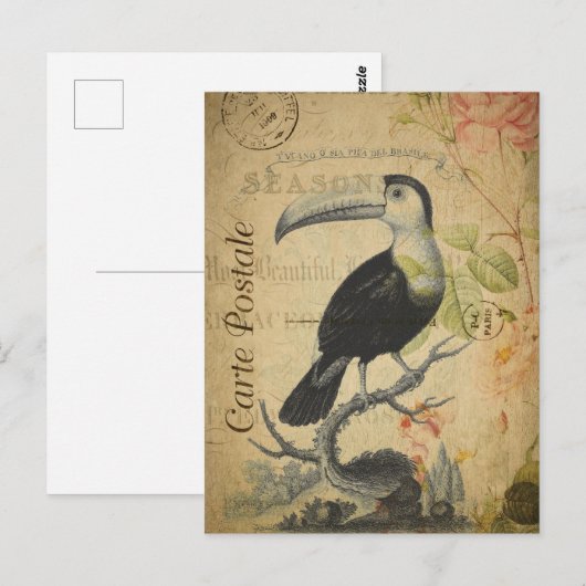  Toucan Bird Briefkaart (Voorkant / Achterkant)