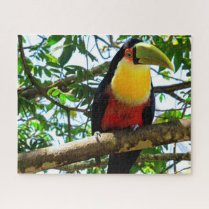 Toucan Bird Jigzaag Puzzle Legpuzzel