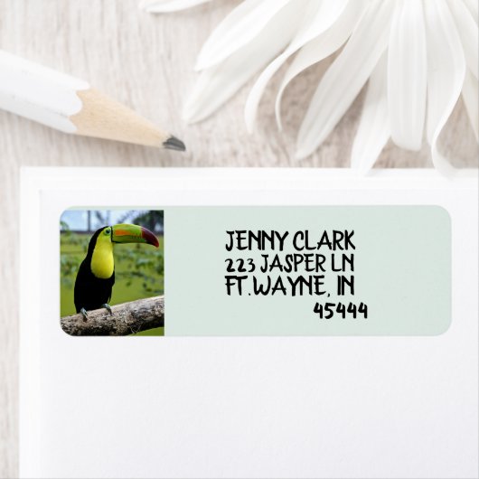 TOUCAN BIRD Return Address Labels (Insitu)