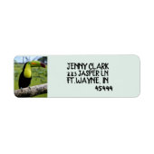 TOUCAN BIRD Return Address Labels (Voorkant)