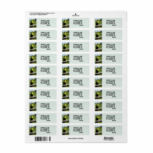 TOUCAN BIRD Return Address Labels (Full Sheet)