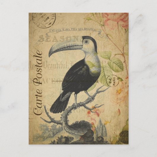  Toucan Bird Roses Floral Briefkaart (Voorkant)