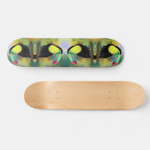 Toucan Bird Skateboard Toco (Horizontaal)