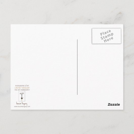 Toucan Bird Wild Natuur Colorful Photography Briefkaart (Achterkant)