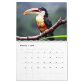 Toucan Birds Calendar Kalender (Feb 2026)