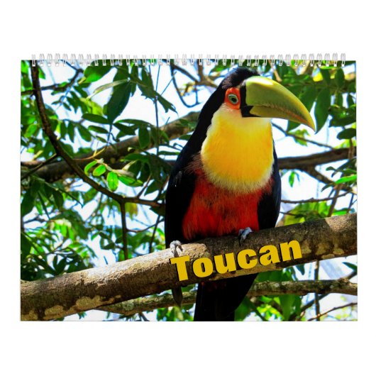 Toucan Birds Calendar Kalender (Hoes)