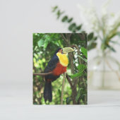 Toucan Briefkaart (Staand voorkant)