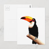 Toucan Briefkaart (Voorkant / Achterkant)