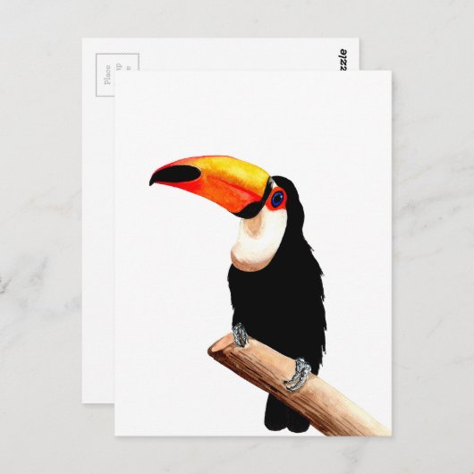 Toucan Briefkaart (Voorkant / Achterkant)
