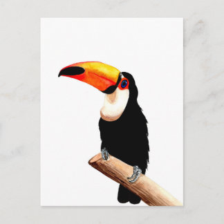 Toucan Briefkaart