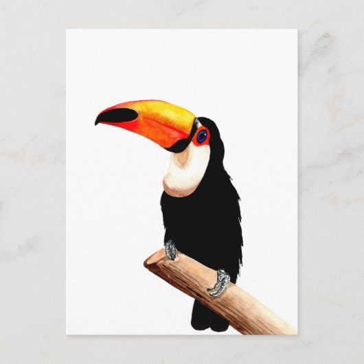 Toucan Briefkaart (Voorkant)