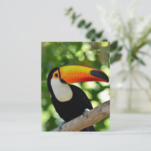 Toucan Briefkaart (Staand voorkant)