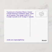 Toucan Briefkaart (Achterkant)