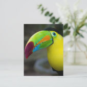 Toucan Briefkaart (Staand voorkant)