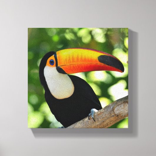 Toucan Canvas Afdruk (Voorkant)