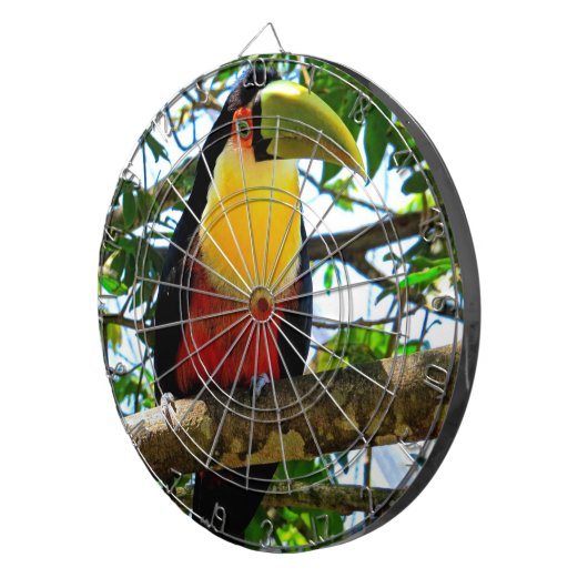 Toucan Dartboard Dartbord (Voorkant Rechts)