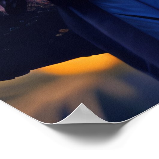 Toucan Dierenvogel Wilderness Kleurrijk Poster (Hoek)