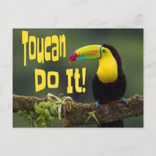 Toucan doet het! Colorful Bird Motivatie Funny Pun Briefkaart
