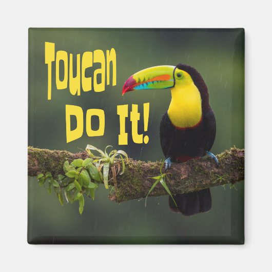Toucan doet het! Colorful Bird Motivatie Funny Pun Magneet (Voorkant)
