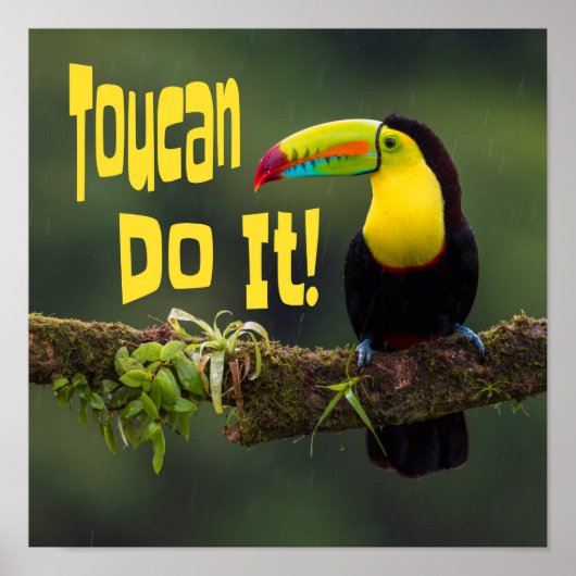Toucan doet het! Colorful Bird Motivatie Funny Pun Poster (Voorkant)