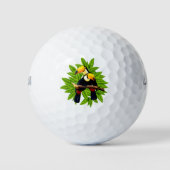 Toucan Duo Golfballen (Voorkant)