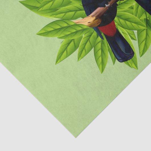 Toucan Duo Green Tissuepapier (Detail)