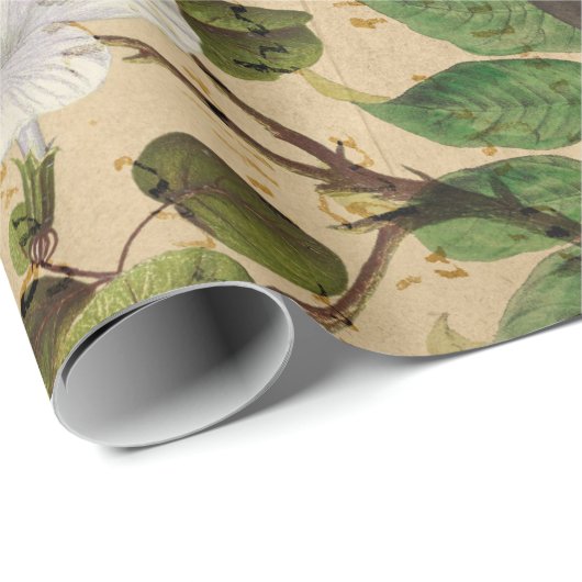 Toucan en tropische ventilator Cadeaupapier (Rol Hoek)