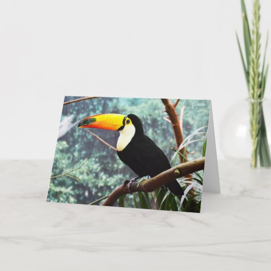 Toucan Feestdagen Kaart (Voorkant)