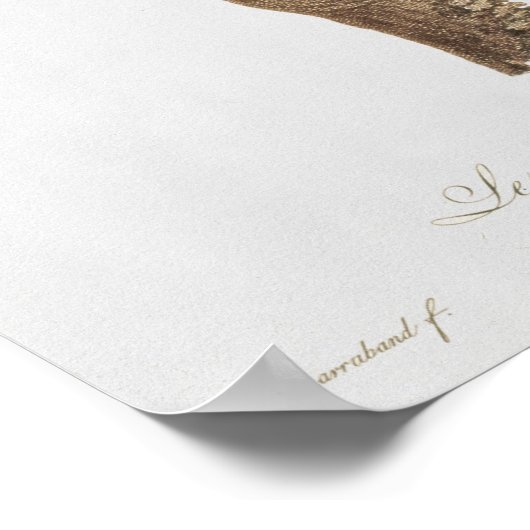 Toucan: Great Red-Bellied by Jacques Barraband Poster (Hoek)