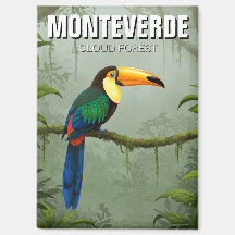 Toucan in het Monteverde Cloud Forest in Costa Ric