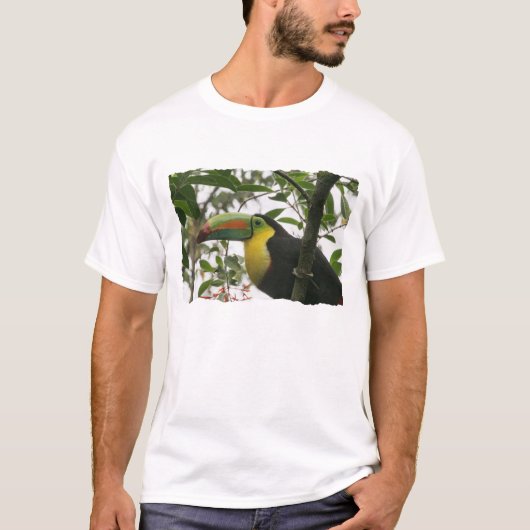 Toucan in het Oerwoud T-shirt (Voorkant)