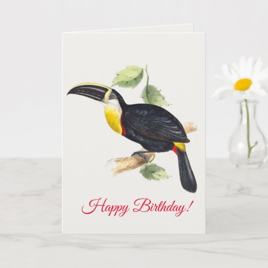 Toucan Kaart (Kleine Plant)