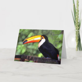 'Toucan' Kaart