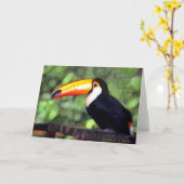 'Toucan' Kaart (Gele Bloem)