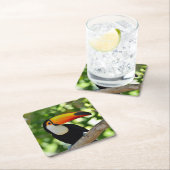Toucan Kartonnen Onderzetters (Insitu)
