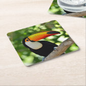 Toucan Kartonnen Onderzetters (Schuin)