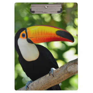 Toucan Klembord
