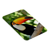 Toucan Magneet (Rechterzijde)