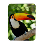Toucan Magneet (Verticaal)
