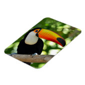 Toucan Magneet (Linkerzijde)
