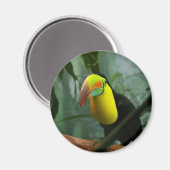 Toucan Magneet (Voorkant / Achterkant)