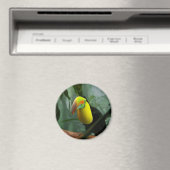 Toucan Magneet (Insitu (Vaatwasser))